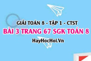 Giải bài 3 trang 67 Toán 8 Tập 1 SGK Chân trời sáng tạo